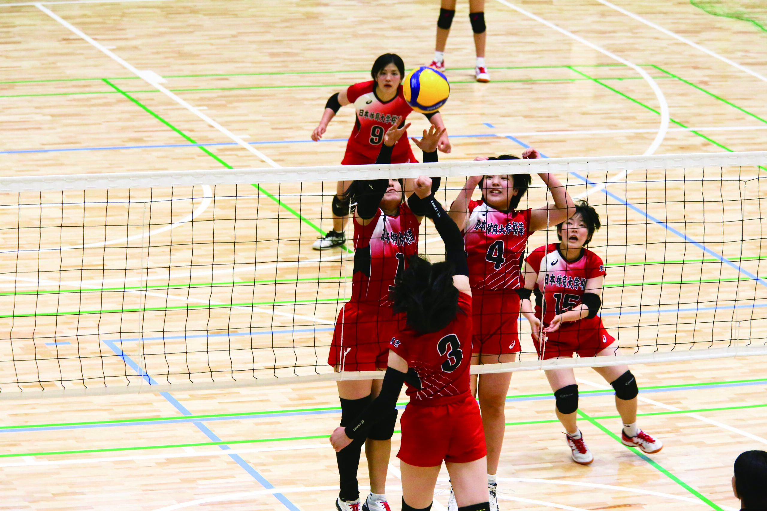 バレーボール部 - 日本体育大学桜華中学校・高等学校