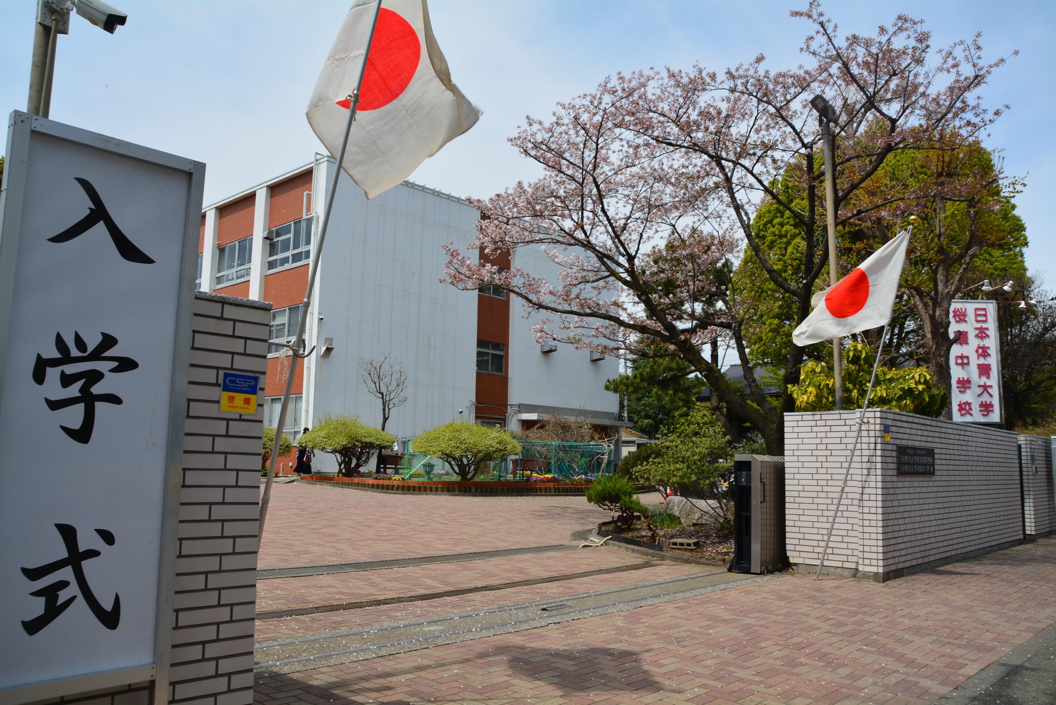 ◆オーダー用◆ダイカット 入学式 春 学校 入学式 - 日本体育大学桜華中学校・高等学校